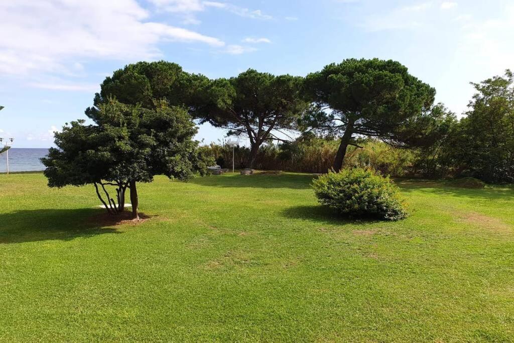 Studio Bord De Mer - Piscine - Plage San-Nicolao Exteriér fotografie