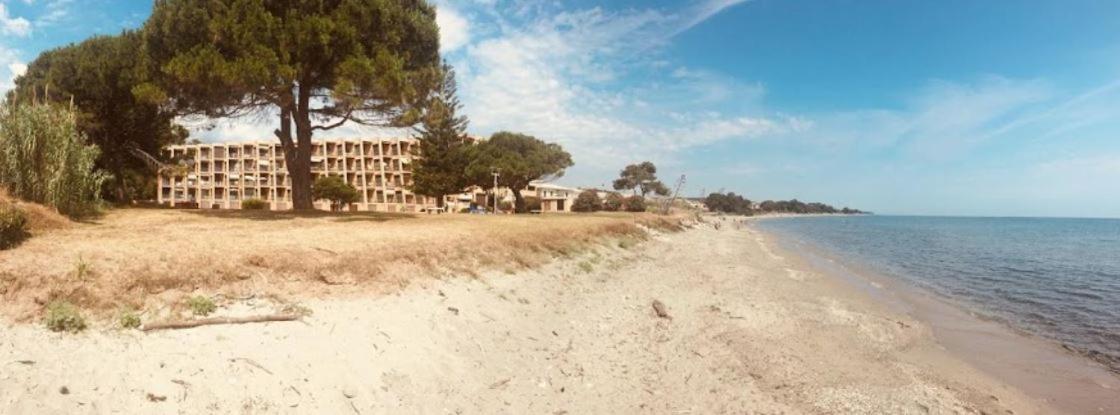Studio Bord De Mer - Piscine - Plage San-Nicolao Exteriér fotografie